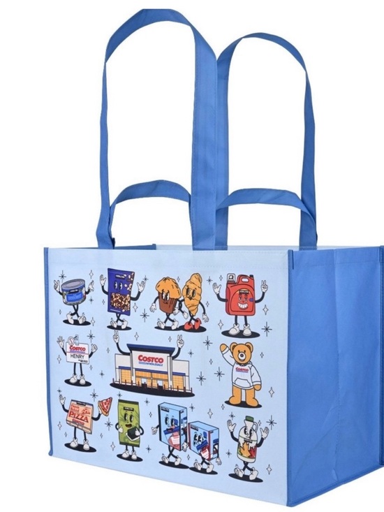 Keepcool Other - Kirkland Signature Light Blue Reusable Character Shopping Bags — 4-Pack NWT